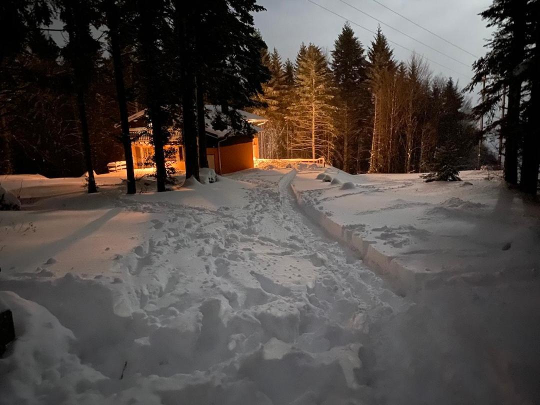 Chalet De Manu Sondernach Exterior photo